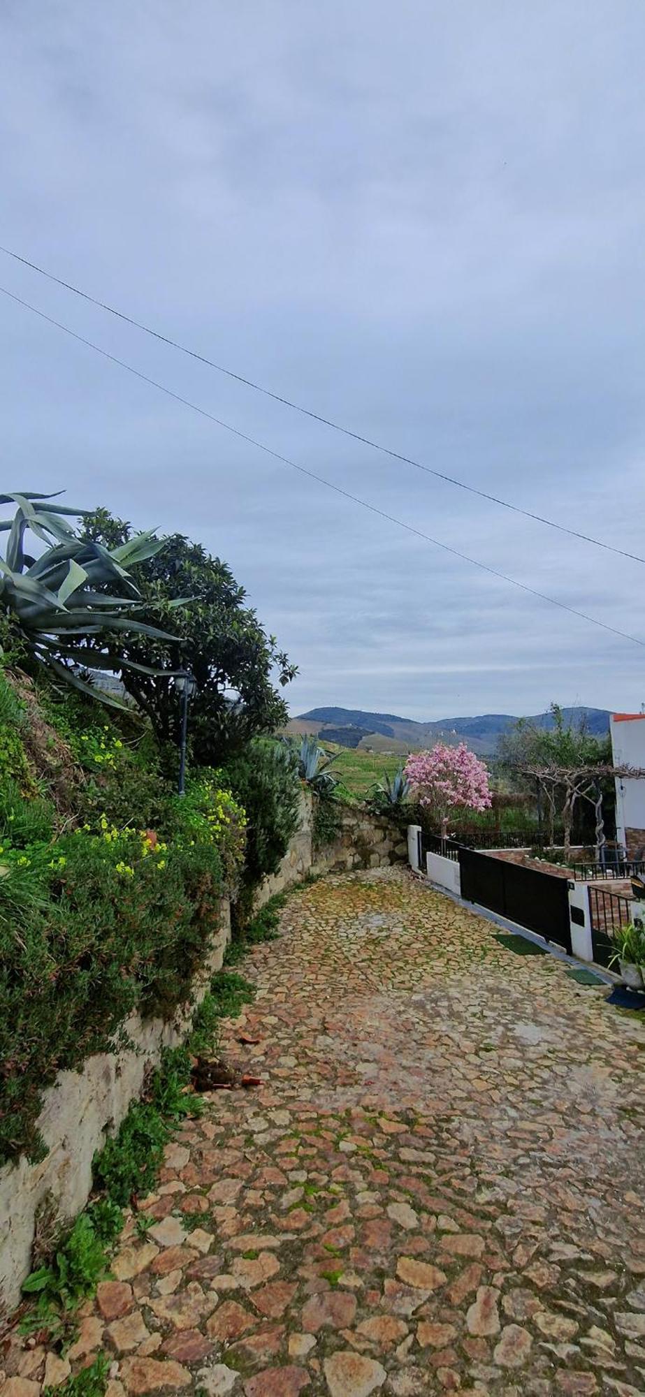 Villa Casa Rodrigues Pinhão Exterior foto